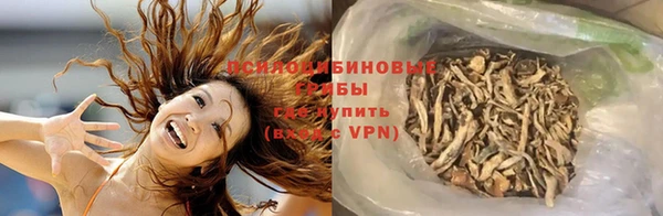 ПСИЛОЦИБИНОВЫЕ ГРИБЫ Волосово