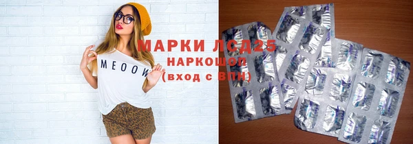 ПСИЛОЦИБИНОВЫЕ ГРИБЫ Волосово