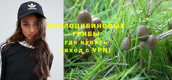 прущие крисы Володарск