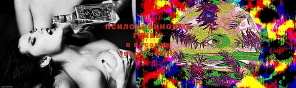 соль ск Вязьма